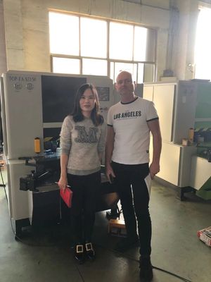 Europese deur- of kastdekking Hoekhoek CNC-vormmachine